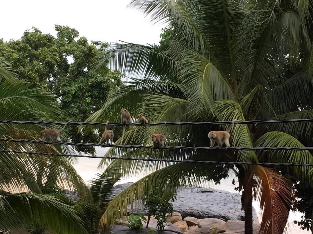 Simukut Place Kampong Pasir Sanang Burong Zewnętrze zdjęcie